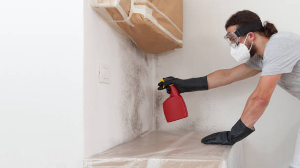 Professional Mold Remediation technician working in Clifton, TX