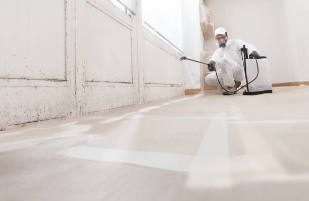 24/7 Emergency Mold Remediation experts in Clifton, TX